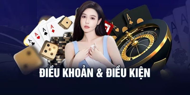 Nội dung chính sách về điều khoản và điều kiện