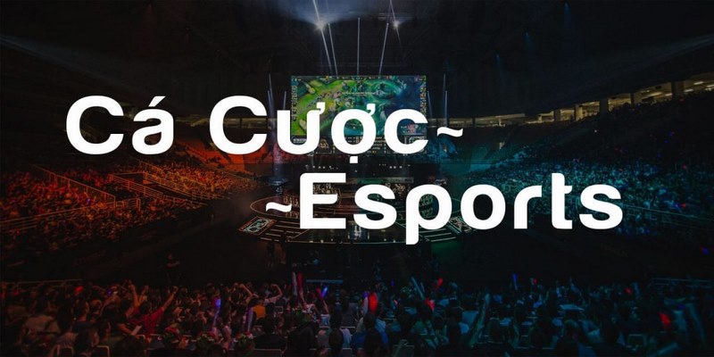 Cá cược game Esports - Hình thức giải trí hot nhất thời đại