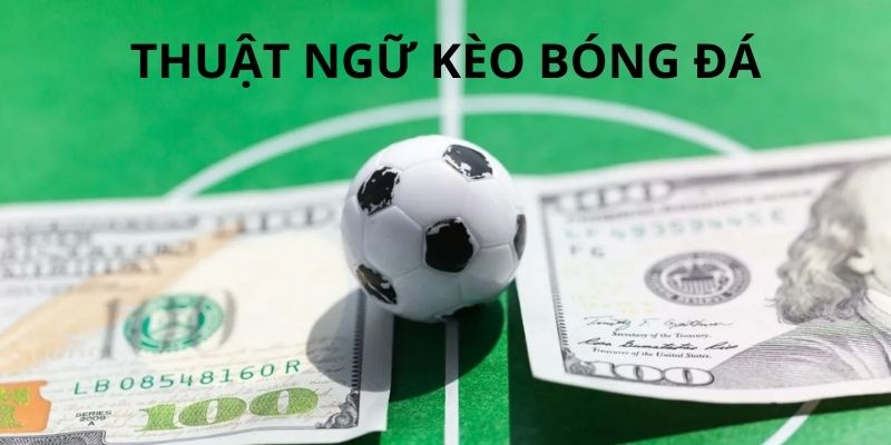 Hội viên cần nắm bắt các thuật ngữ chung khi vào cược bóng đá KUBET77