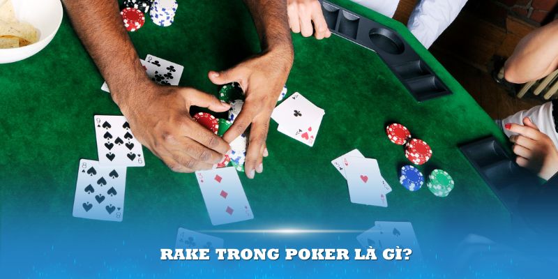 Ở game casino, Rake trong Poker là gì luôn được quan tâm