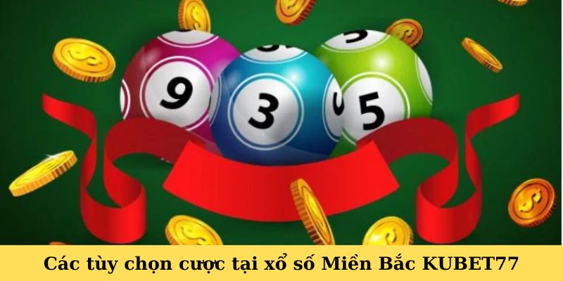 Các tùy chọn cược tại xổ số Miền Bắc KUBET77